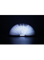 Lampe Livre Erable