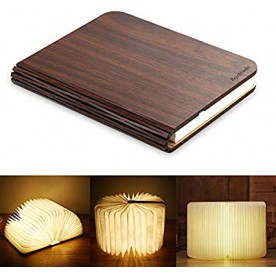 Lampe Livre Noyer