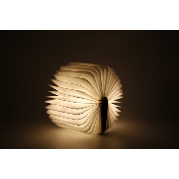 Lampe Livre Lumineux Led en Noyer